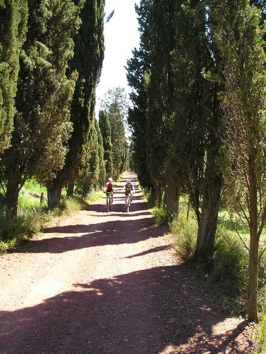 Halbtagestour Maremma