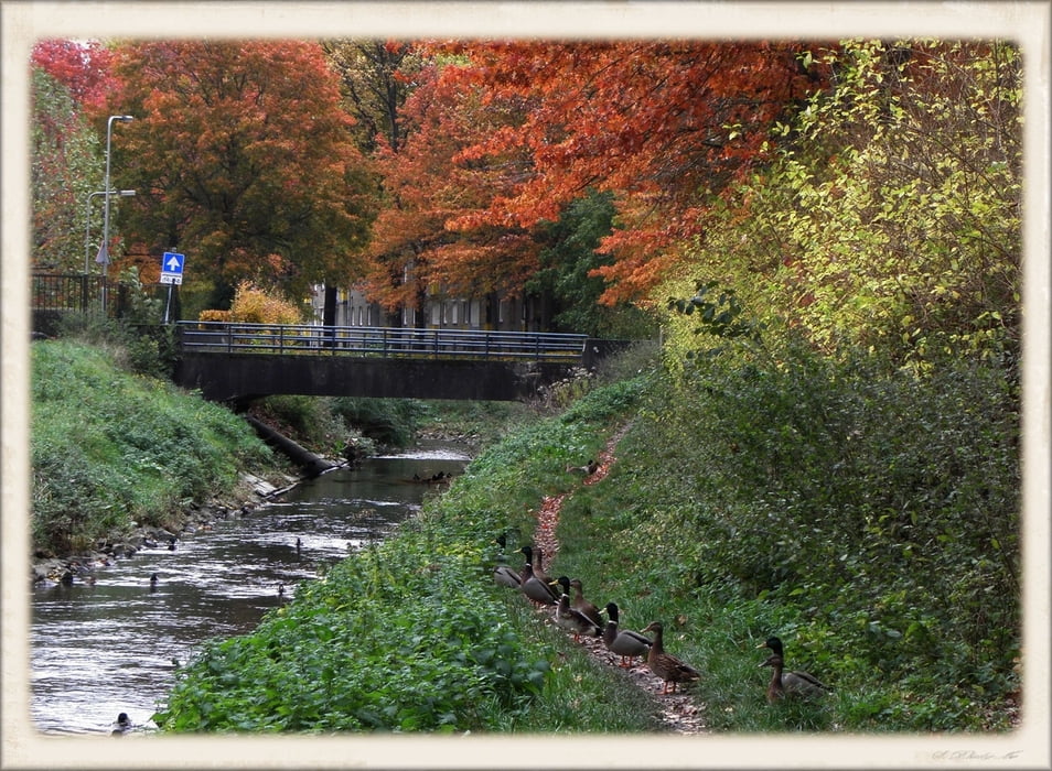 Rondwandeling Sittard met kleine grensoverschrijding