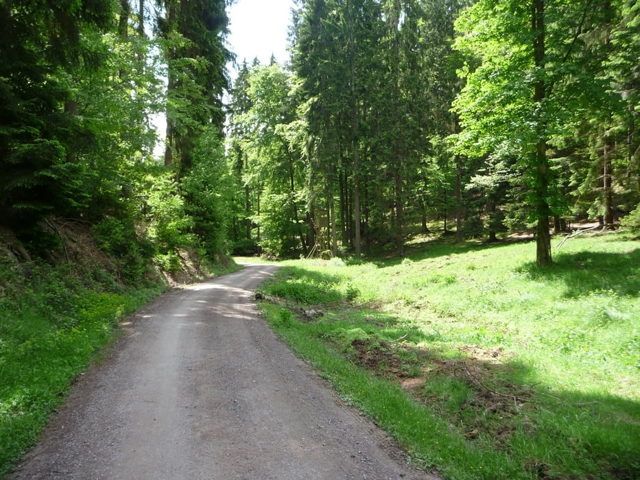 Rundwanderung Schloß Mespelbrunn