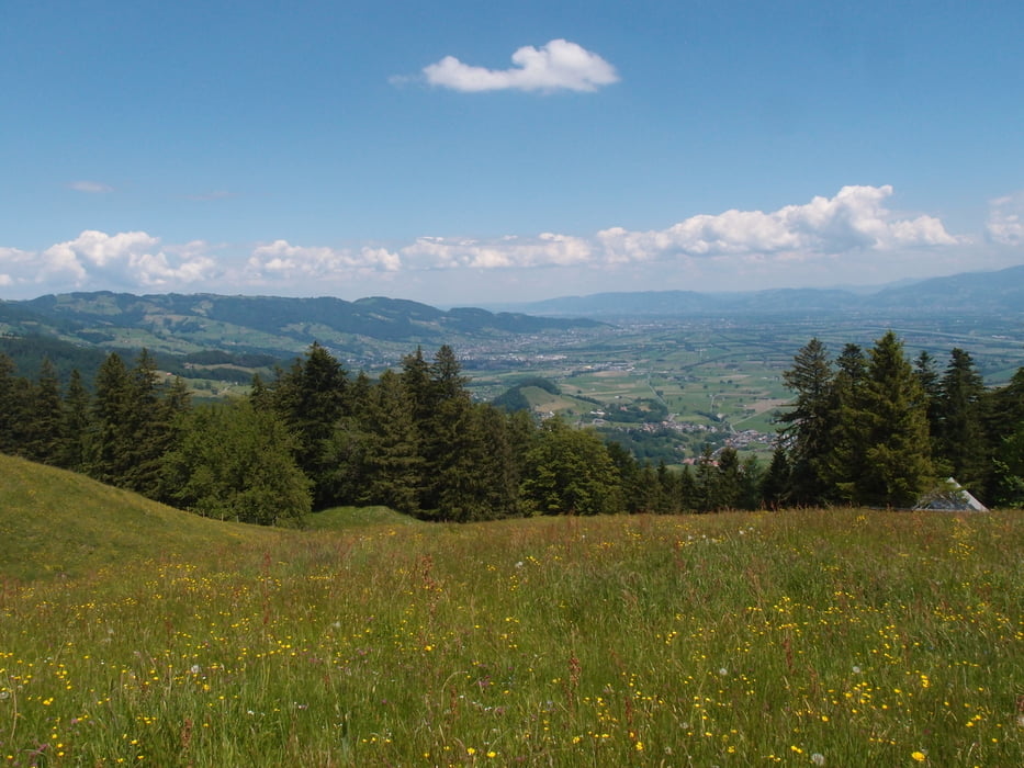 Appenzell Hirschberg und Montlinger Schwamm
