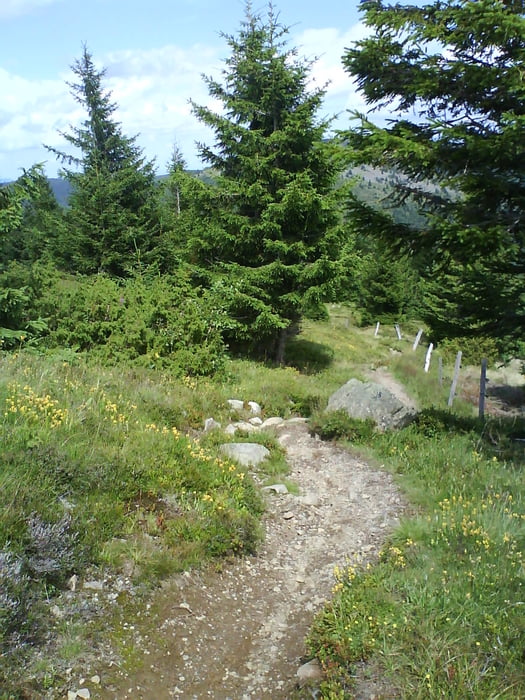 Vogesen Trail
