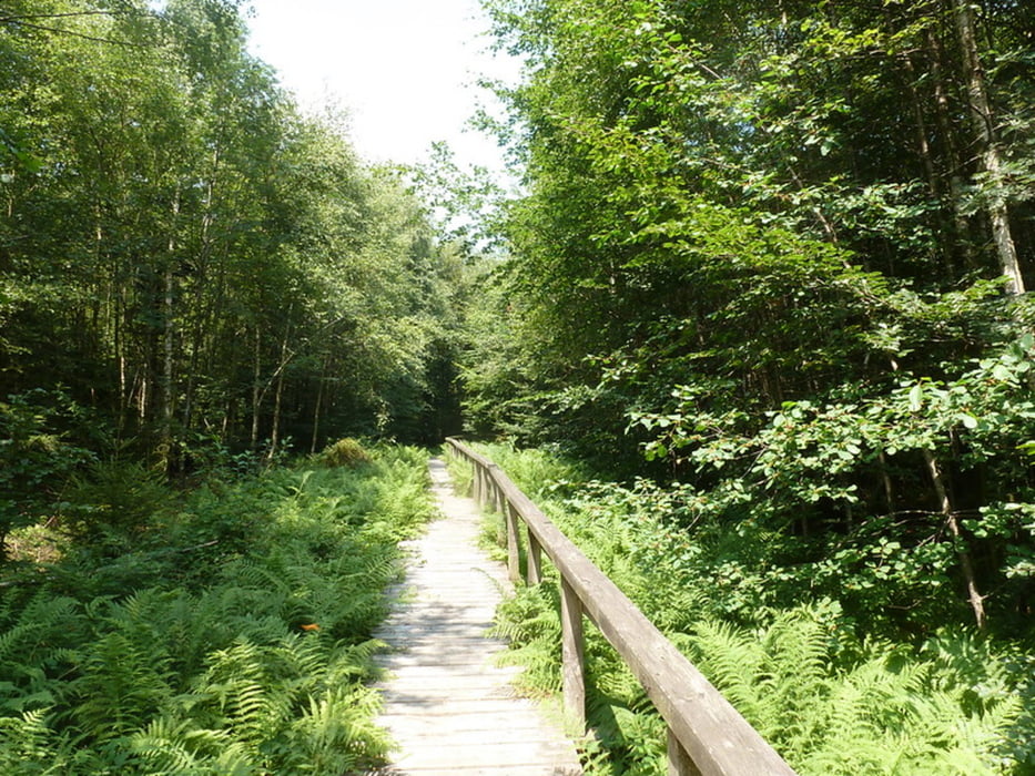Wunderbar Osburger Hochwald Facebook Fotos