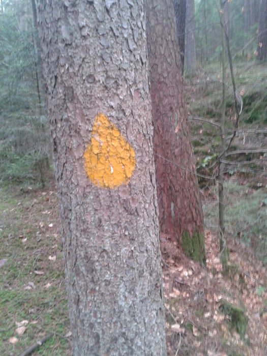 gelbe Träne