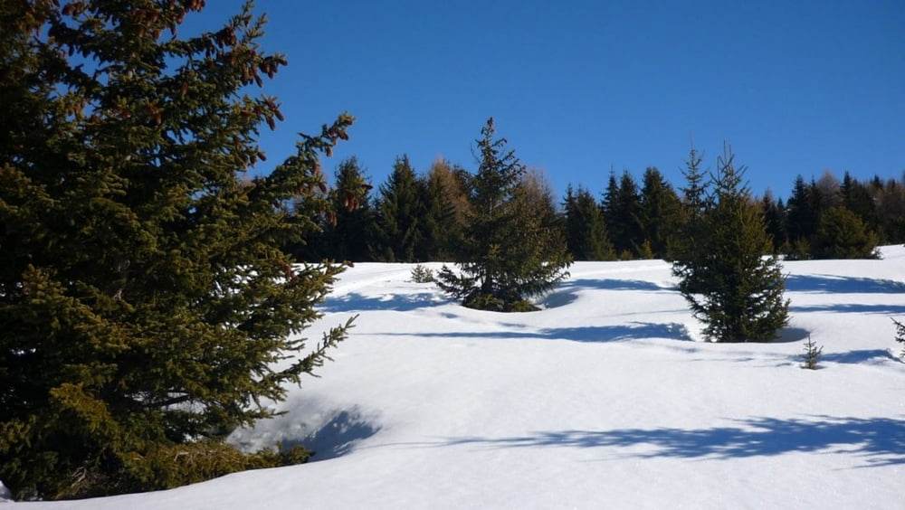 Valloire area snowshoeing