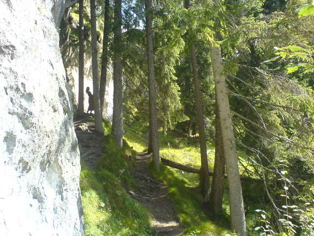 Willersalpe - Hinterstein