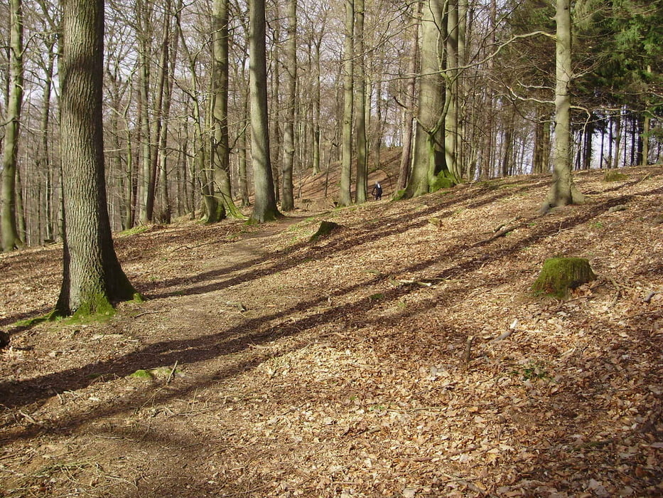 Trail Aussicht Trail Hasselbach Hohenlimburg
