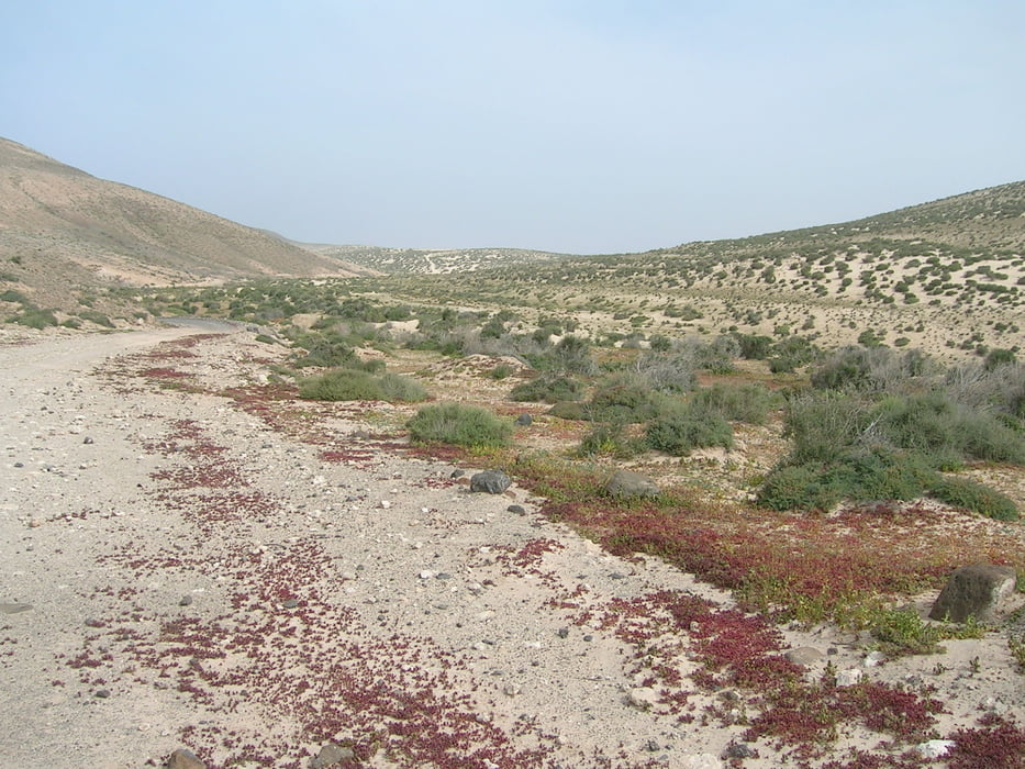 Parque Natural de Jandia