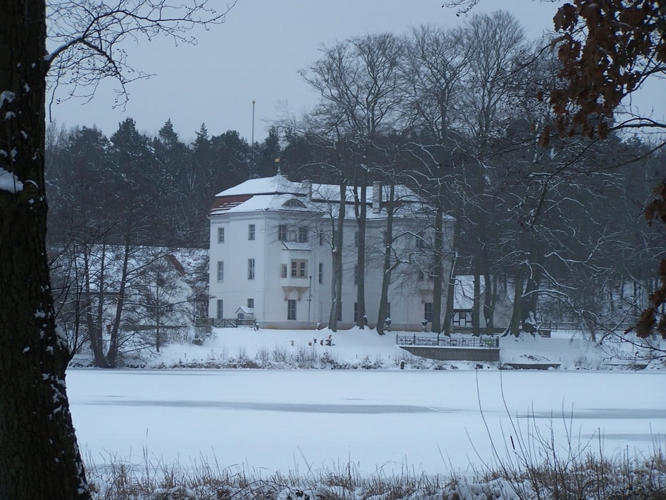 Winterwald
