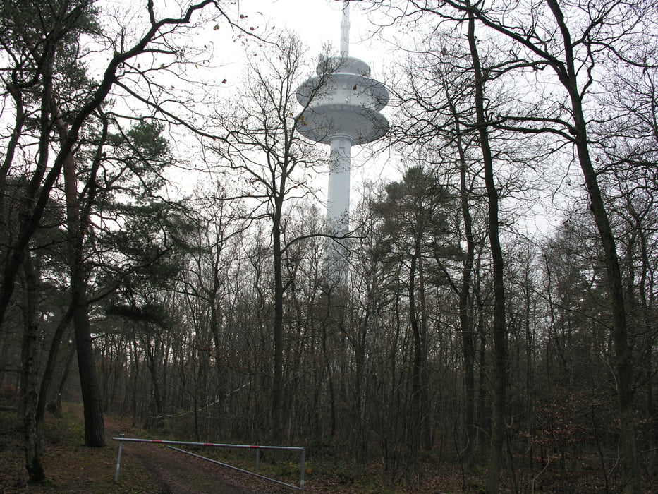 Parkplatz Rotenfels - Rabenfels - Bastei - Parkplatz Rotenfels