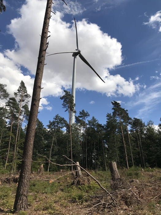 Der Nase nach mit "Rückenwind"