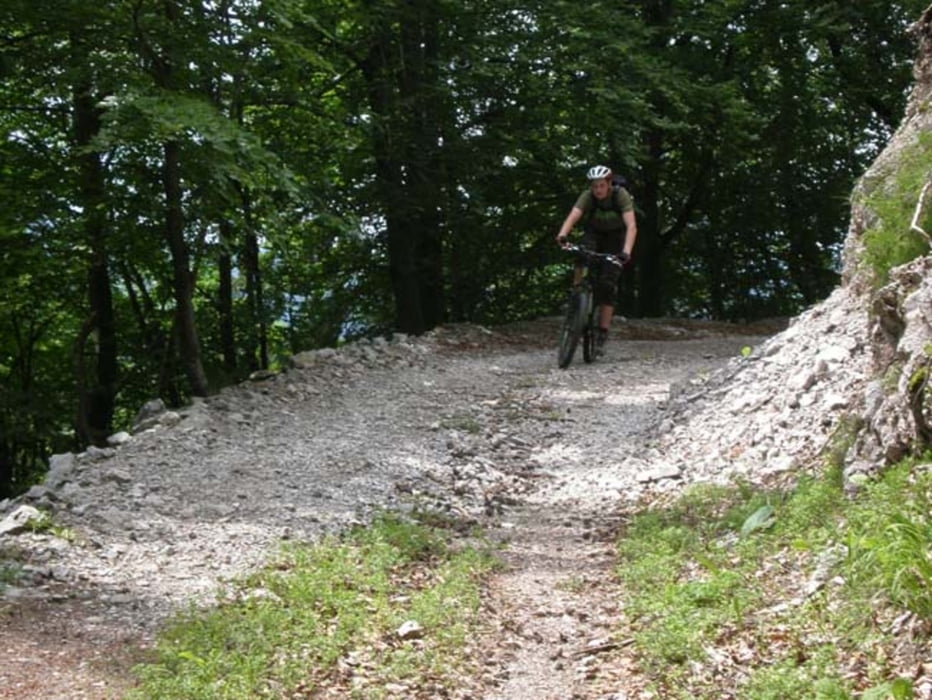 Polhograjci: Osolnik in Tošč