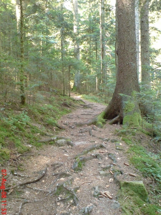 Hornberg-Schonach-Karlstein