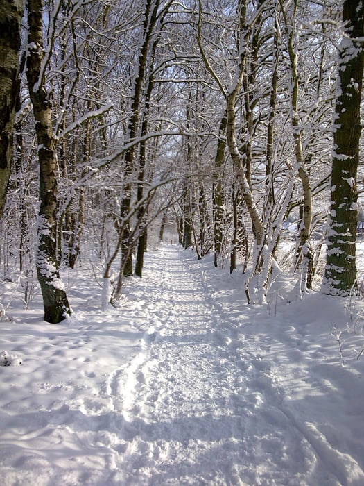 Wittmoortrails und Kukidenttrails im Schnee
