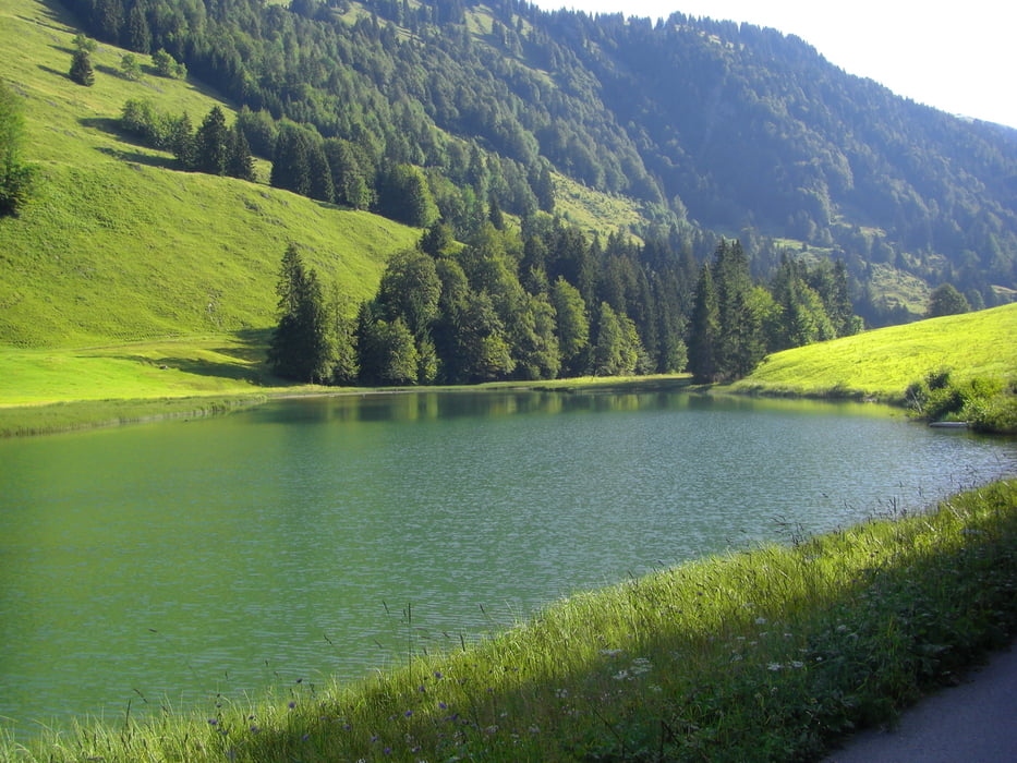 Alpe-Wanderung im Lecknertal - Alpe Helmingen