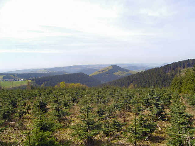 Rothaarsteig von Winterberg nach Bad Berleburg