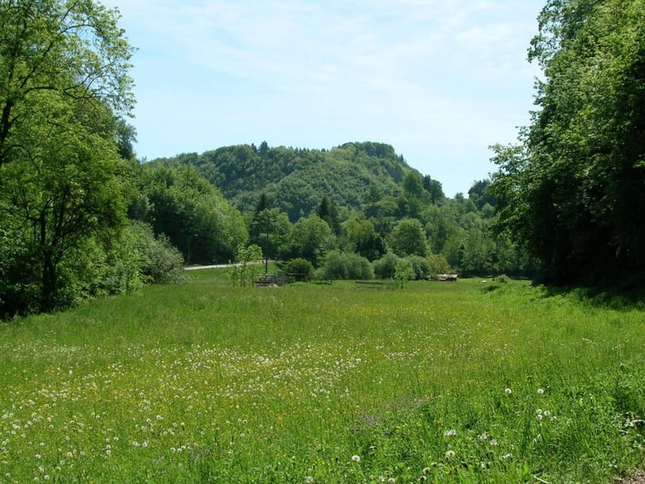 Metzingen - Gruorn - Böhringen - Metzingen