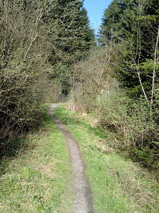 Trails Bad Dürrheim Schwarzwald