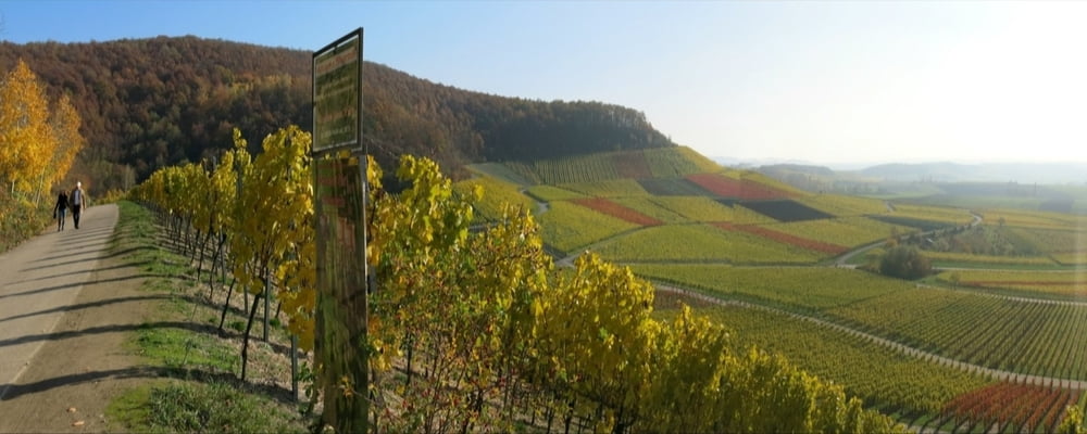 Wandern Franken: Herbst in Weinfranken-Bullenheim