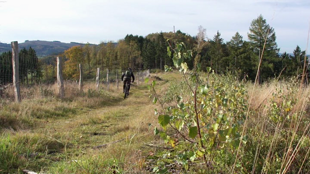 Berge-Jägerpfad-HellefelderHöhe-Trail nach Rumbeck-OlperHöhe-Berge