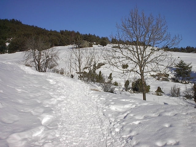 Jomier