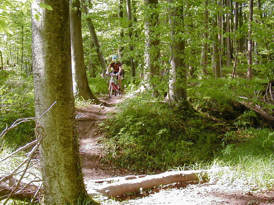 Ailingen - Gehrenberg