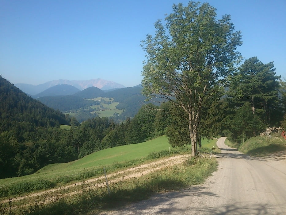 Waldegg – Puchberg/Schneeberg – Ternitzerhütte – Hengsthütte - und zurück