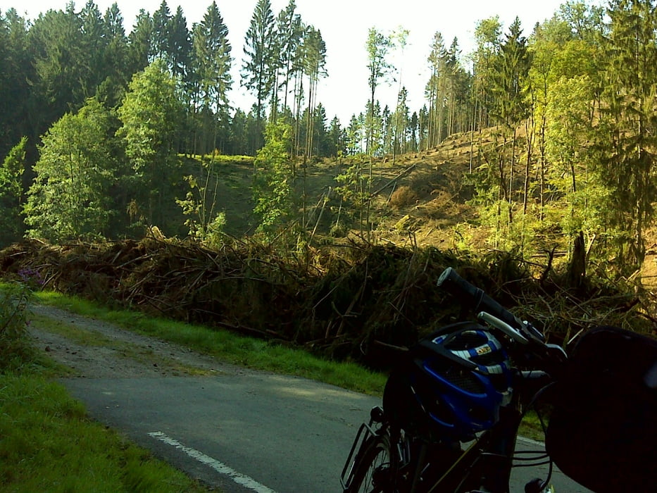 Mühlen an Striegis und Mulde