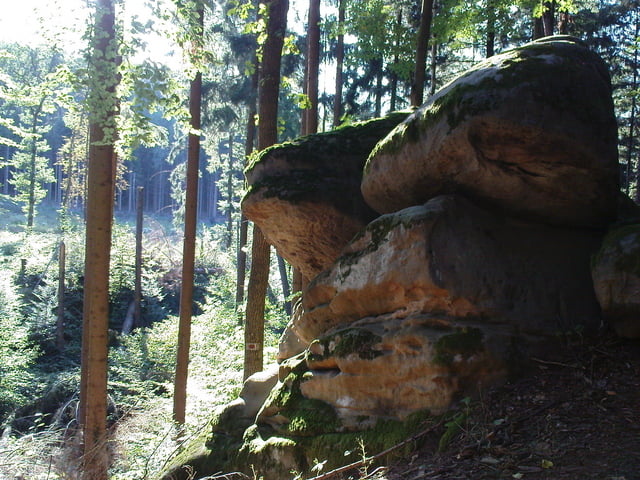Sebalder Reichswald