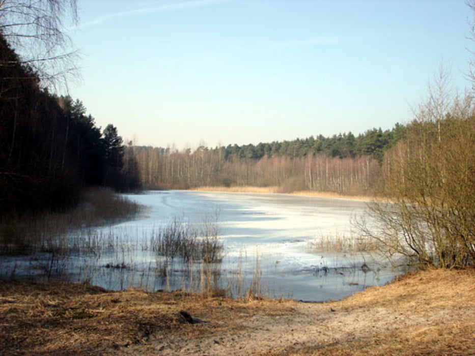 131) FF - Biegener Hellen - Müllrose - Helenesee - FF
