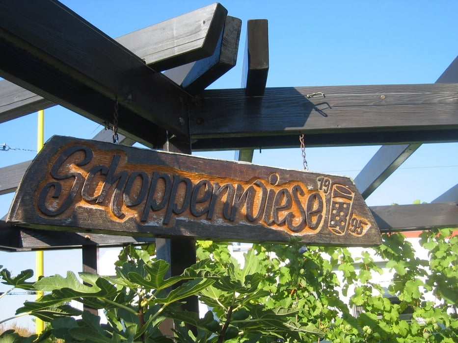 Rund um die Mußbacher Schoppenwiese