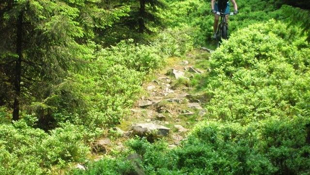 Harz - Trails rund um die Hanskühnenburg 