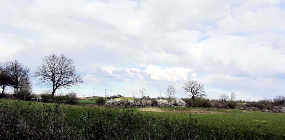 Stockelsdorf-Reinfeld-Rund