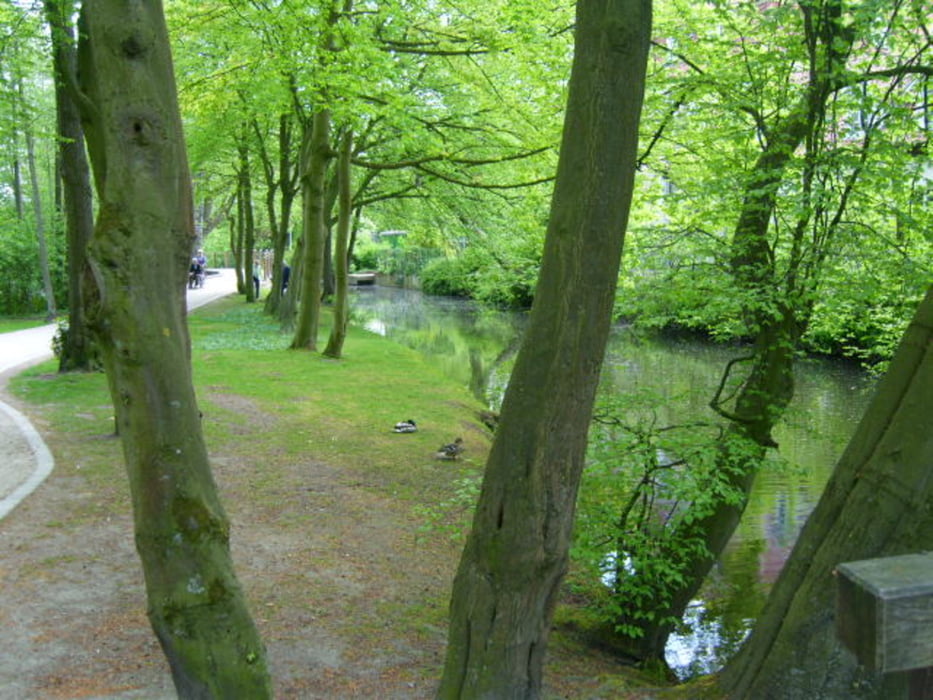 Natur pur zwischen Ems und Lippe