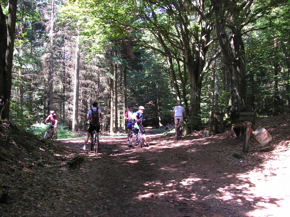 2.Merziger Kammerflimmer Biketour