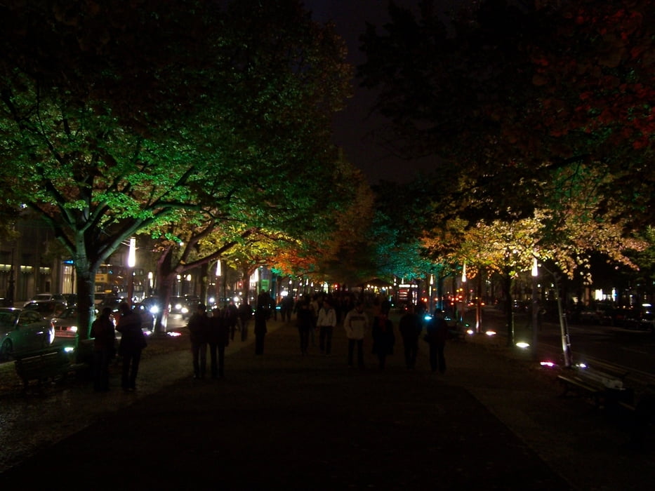 Festival of lights 2009
