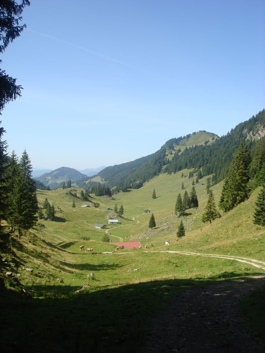 Frasi - Eiskeller - Trockenbachtal - Feichteck - Hochries