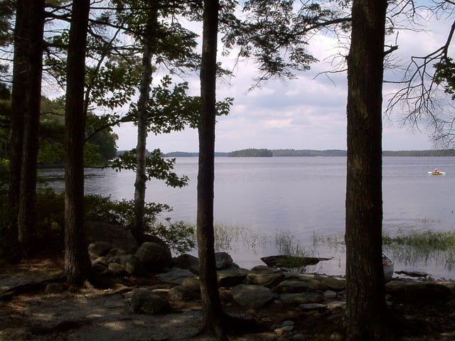 Kejimkujik Snake Trail