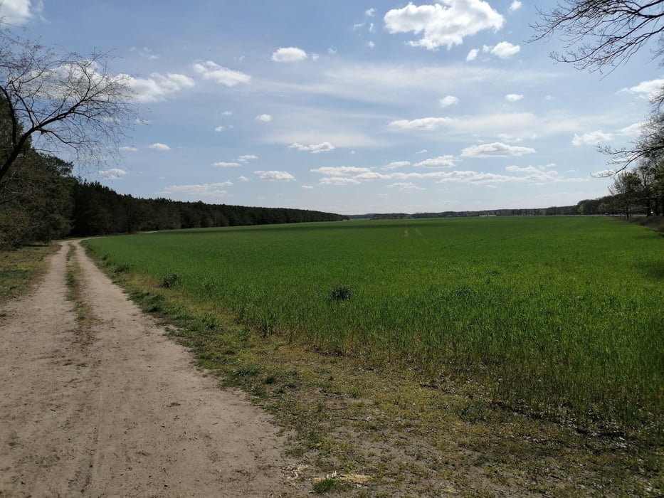 363. Blankensee Berg - Schloss Tour ;-)) mit Frontaneweg