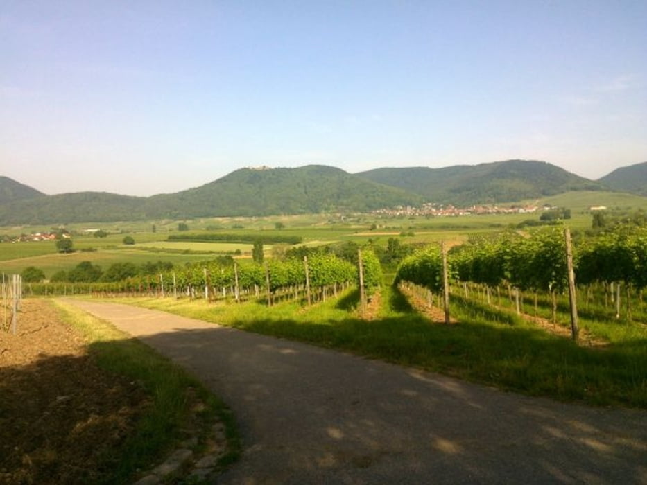 Dörrenbach - Ilbesheim - Kleine Kalmit - Liebfrauenberg