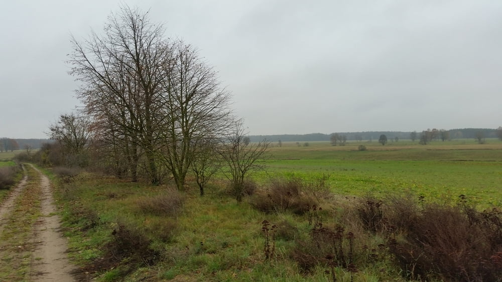 342. Krausnick Spreewaldtour, mit Dürre Ziege und Pechhütte 
