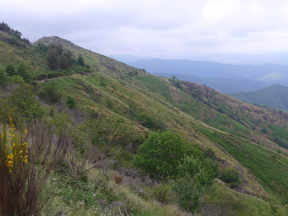 Cevennes: Serre de Borgne