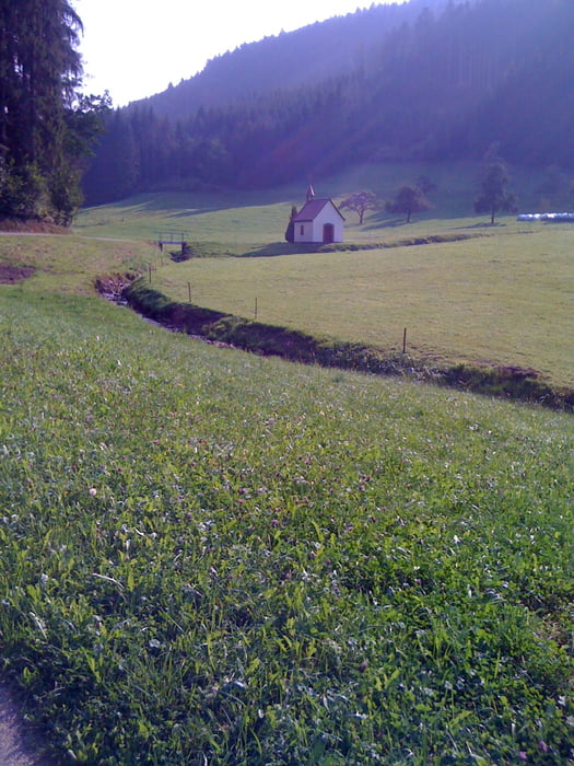 Seelbacher Einschwingrunde in die Schwazrwälder Höhen