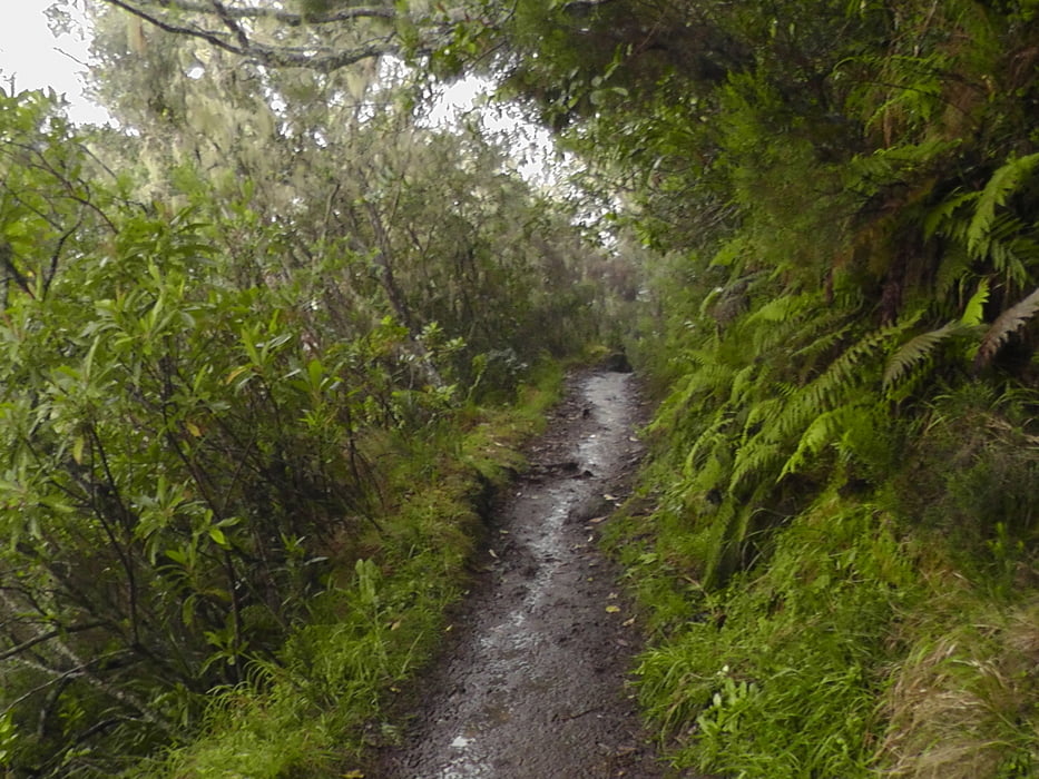 La Reunion GR R2 von Cilaos zur Gite de la Caverne Dufour Tag 5