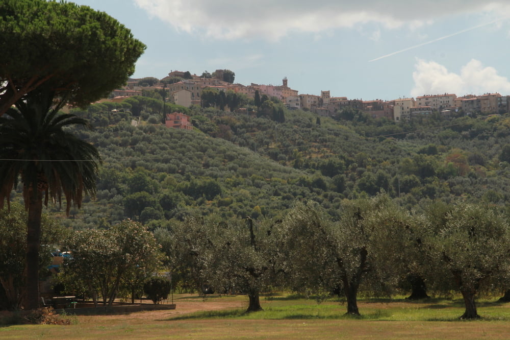Toskana - Castagneto Carducci 3 - San Carlo