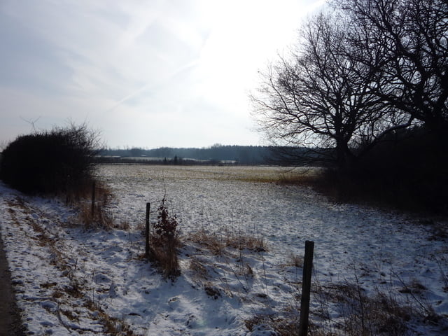 Spaziergang zur Rheinbacher Waldkapelle