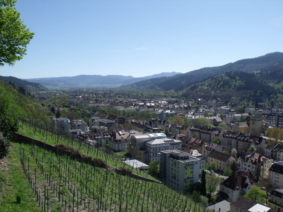 Über den Hinterwaldkopf nach Titisee und zurück nach Freiburg