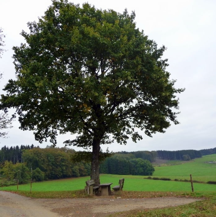 Rund um Wallefeld