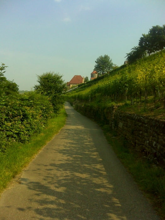 Markgröningen-Strombergrunde-Krummes Steigle