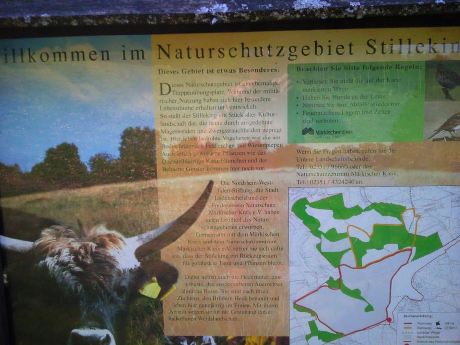 Dortmund - Südschwarzwald (Limburg - Mainz - Kehl - Breisach - Zell i. Wiesental)