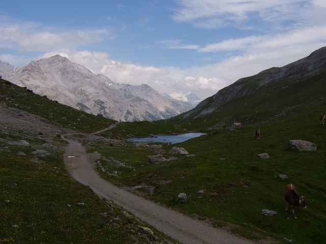 Graubünden: Susch-Scoul-PassDaCostainas-Ofenpass-Gallopass-Alpi Sella-Livigno